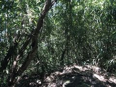 -杭州黄龙洞