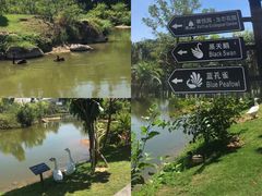 -厦门悦华酒店
