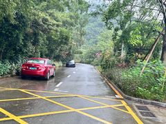 -梧桐山风景名胜区