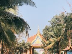 -西双版纳傣族园