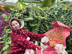-沈阳植物园