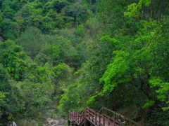 -广州白江湖森林公园