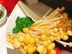 -海底捞火锅(长宁路龙之梦店)
