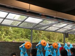-惠和石文化园