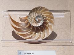 -福建博物院
