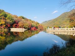 -龙道沟景区