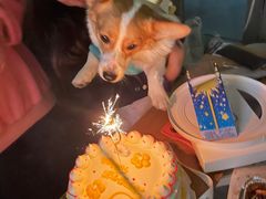 -玲婧胡同·生日蛋糕·餐厅(嘉里城店)