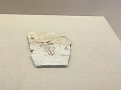 -衢州市博物馆