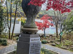 -雨花胜境