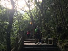 -普陀山风景区-佛顶山