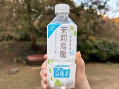 -南京市江宁方山
