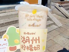 -猫的魔法密林(衣裳街店)