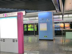 -大龙山(地铁站)