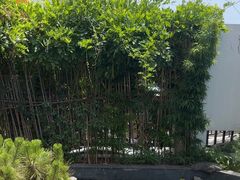 -汤宴·参须肚包鸡(南京路店)