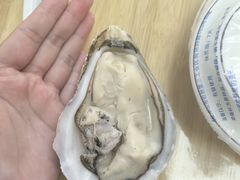 -冯姐生蚝(长隆横琴店)