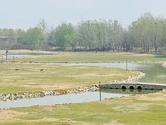 -北京麋鹿生态实验中心