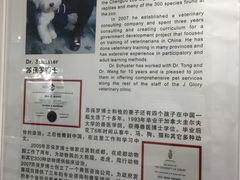 -荣耀金沙动物医院(清江西路店)