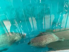 -秦皇岛新澳海底世界