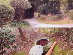 -咸宁万豪温泉谷度假区