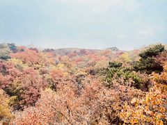 -慕田峪长城