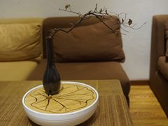 -柴务处·柴犬主题狗咖