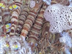 -海天市场(淮河路店)