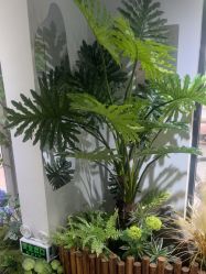 -LEILEI NAIL蕾蕾美甲美睫