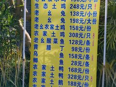 -老幺泉水鸡