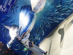 -烟台海昌鲸鲨海洋公园