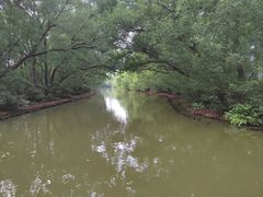 -大湾区中央湿地公园