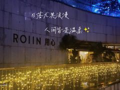 -ROIIN用心(杭州首店)