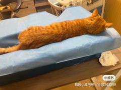 -康旭宠物医院(郑州总院)