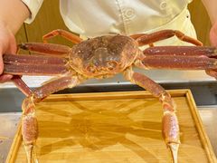 -松临·铁板烧&Omakase(神农店)