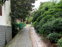 -西湖风景区十里琅珰-五云山