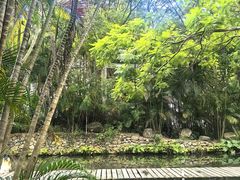 -燕晗山郊野公园