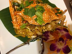 咖喱蟹-Daddy Nimman Chiang Mai