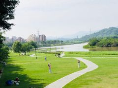 -风云岭森林公园