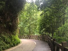 -广州市流溪河国家森林公园