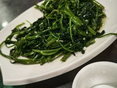 -清水湖度假村(罗浮山美食地标店)