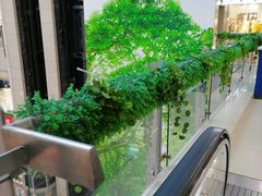 -百荣世贸商城