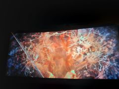 -金逸影城(百信东区店)