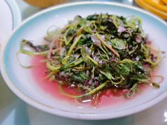 -松沪名灶·豆浆鱼头·新上海菜(飞航吾悦广场店)