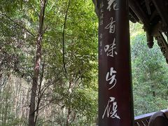 -凤栖山
