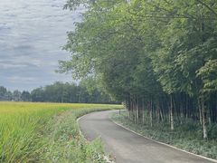 -桤木河湿地公园