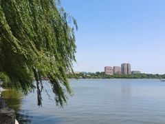 -济南大明湖景区