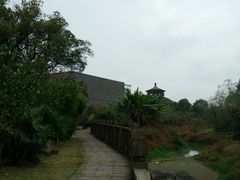 -八大山人梅湖景区
