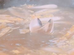 -顺德哥卜卜贝(旗舰店)