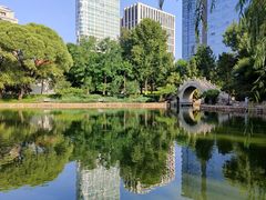 -团结湖公园