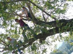 -楠溪江风景名胜区