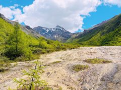 -黄龙山原始森林景区